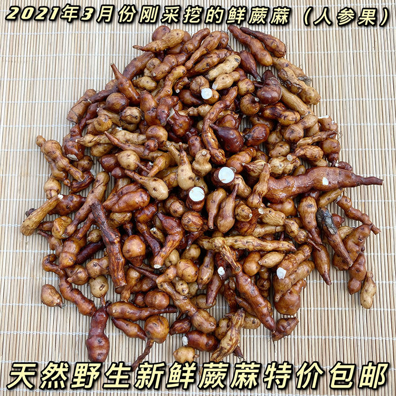 甘肃特产甘南蕨麻青海蕨麻特大正品500g包邮莲花菜延寿草蕨麻米饭