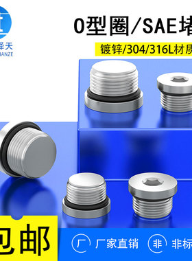 SAE系列镀锌/304/316不锈钢美制内六角带0圈密封法兰堵头40N5/16