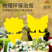 双面粘虫板诱虫板黄色灭小飞虫果蝇针蜂粘板蓟马大棚黏虫园艺扎线