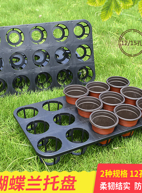 促销育苗穴盘 蝴蝶兰托盘 12孔15孔穴盘 花卉育苗盆托架塑料花架