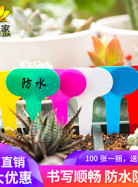 绿植多肉标签兰花标签盆栽园艺花卉T型pvc塑料防水标签插地标牌