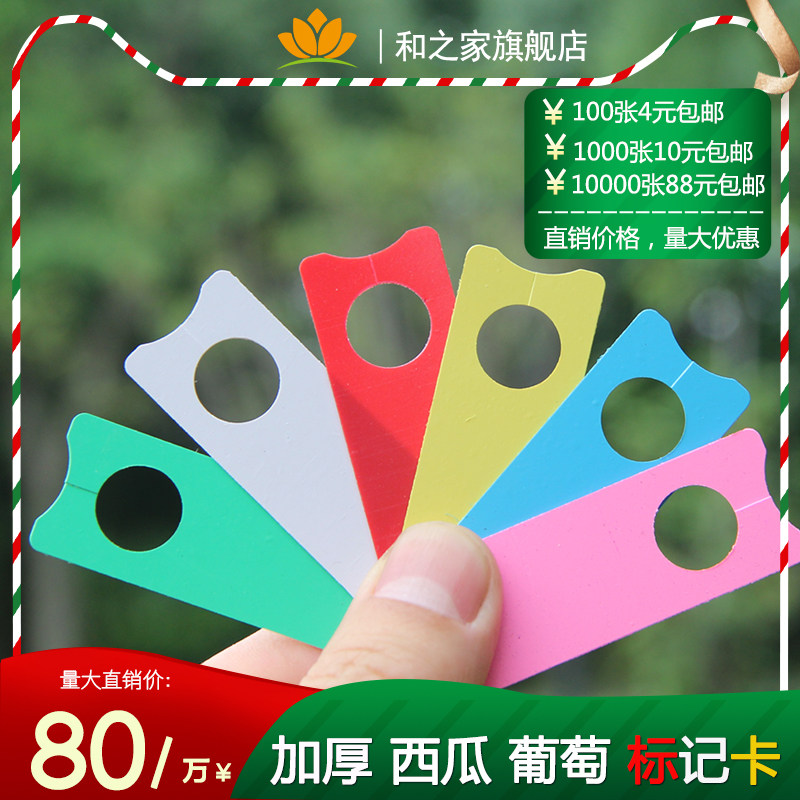 红色葡萄记号牌/葡萄标记卡/瓜果标记牌/西瓜标记牌/甜瓜分批色卡