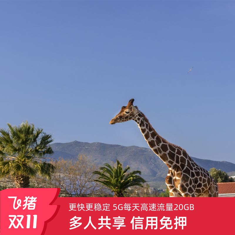 南非wifi租赁全球通用随身移动5G/4G无线上网出国WI-FI漫游超人蛋