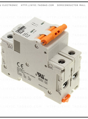 1020066【CIRCUIT BRAKER 6A】