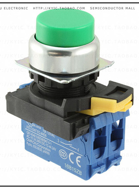 A22NN-RPM-NGA-G101-NN【SWITCH PUSH DPST-NO 10A 120V】