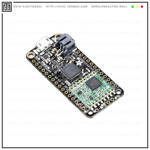 3078【ADAFRUIT FEATHER 32U4 RFM95W LOR】