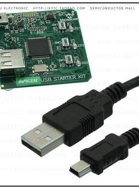DM330012【DSPIC33E USB STARTER KIT】