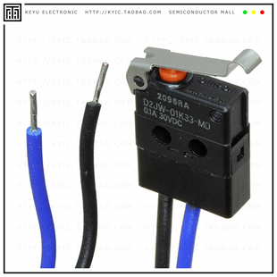 IMERSION PROOF BASIC D2JW SWITCH 01K33