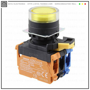 10A G202 PUSH DPST SWITCH TYA 120V A22NL BGM
