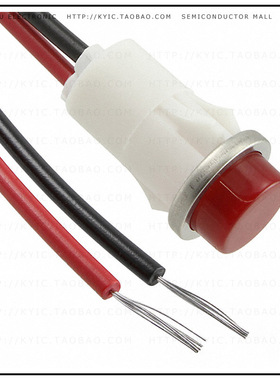 1051C1【INDICATOR NEON RED PANEL MNT】