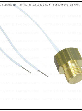 30010000【TEMP SENSOR RTD 1000 OHM】
