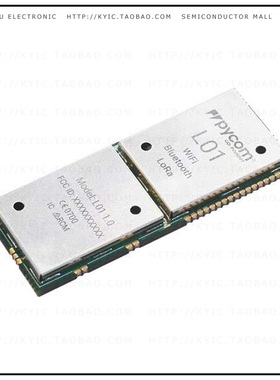 L01【SOC VERSION OF THE LOPY. CONTAIN】