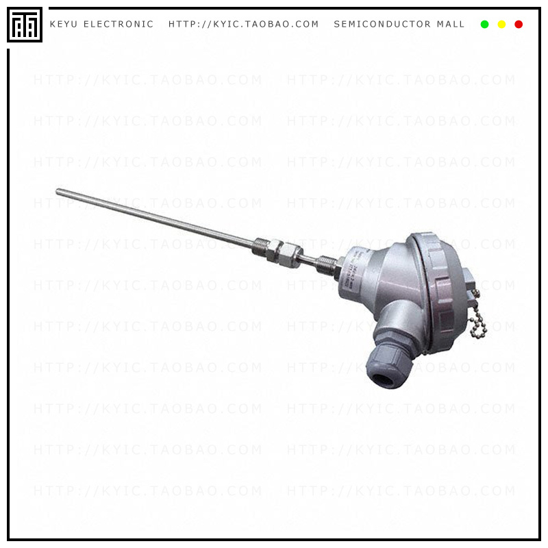 ITTP200A【TEMP PROBE PT100 6X200MM 1/4' BS】
