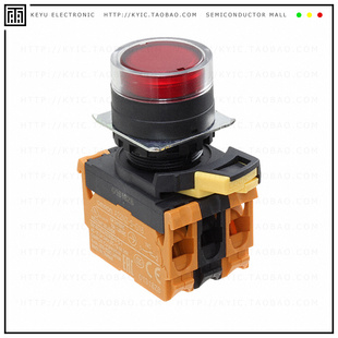 10A G202 PUSH DPST SWITCH TRA 120V A22NL BGM