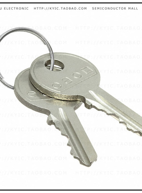 45-522.0900【SPARE KEY (2X) RONIS T254】