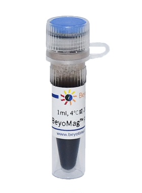 BeyoMag™ Protein L磁珠  P2110 碧云天