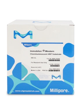 WBKLS0500 底物显色试剂