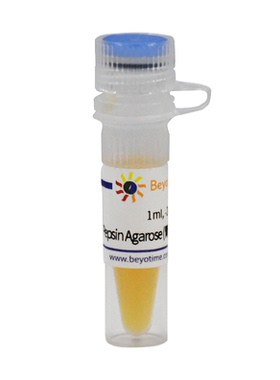 Pepsin Agarose (胃蛋白酶琼脂糖凝胶) P2049 碧云天生物