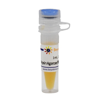 Pepsin Agarose (胃蛋白酶琼脂糖凝胶) P2049 碧云天生物