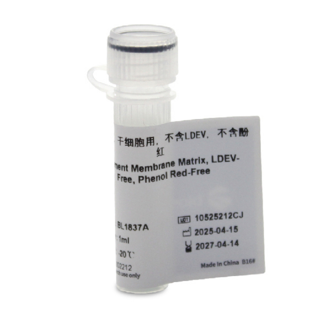 BL1837C 基质胶，干细胞用，不含LDEV，不含酚红BL1837A  BL1837B