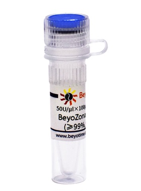 BeyoZonase™超级核酸酶(≥99%, with His-tag)碧云天 D7126