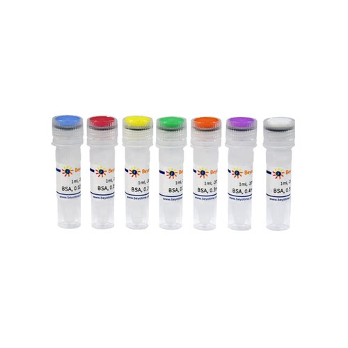 预稀释蛋白定量标准品(BCA法专用)  P0413S  P0413M