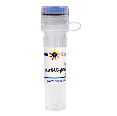 Lenti-U6-gRNA-Cas9-P2A-mCherry-Neo 碧云天 D8302