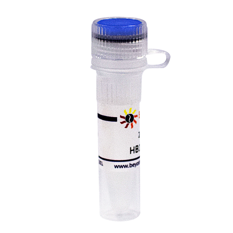 HB101甘油菌   碧云天生物D0399