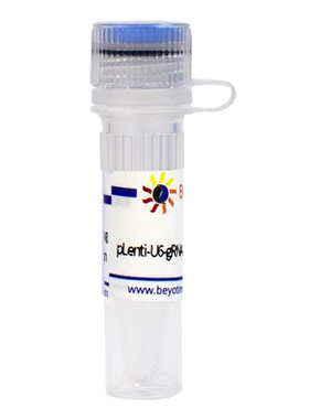 pLenti-U6-gRNA-Cas9-P2A-EGFP-Hygro 碧云天 D8309