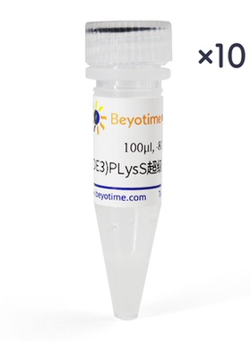 C43(DE3)PLysS超级感受态细胞 碧云天 生物 D1023