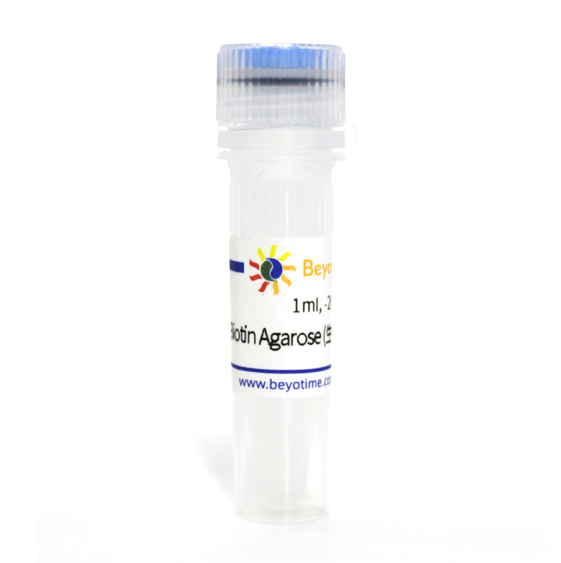 Biotin Agarose (生物素琼脂糖凝胶)  P2157 碧云天生物