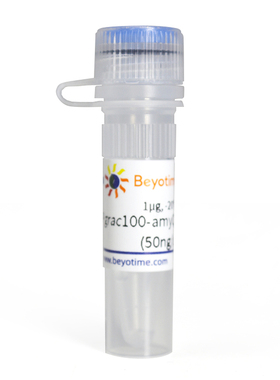 Pgrac100-amyQ-C-His-Cm   碧云天生物  D2522