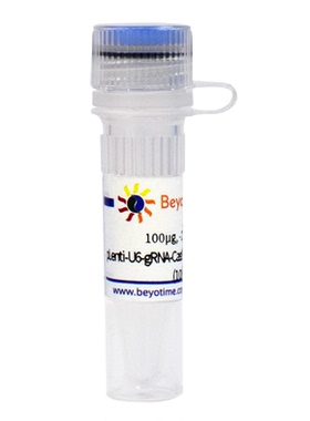 pLenti-U6-gRNA-Cas9-P2A-mCherry-Puro&Zeocin  碧云天 D8304