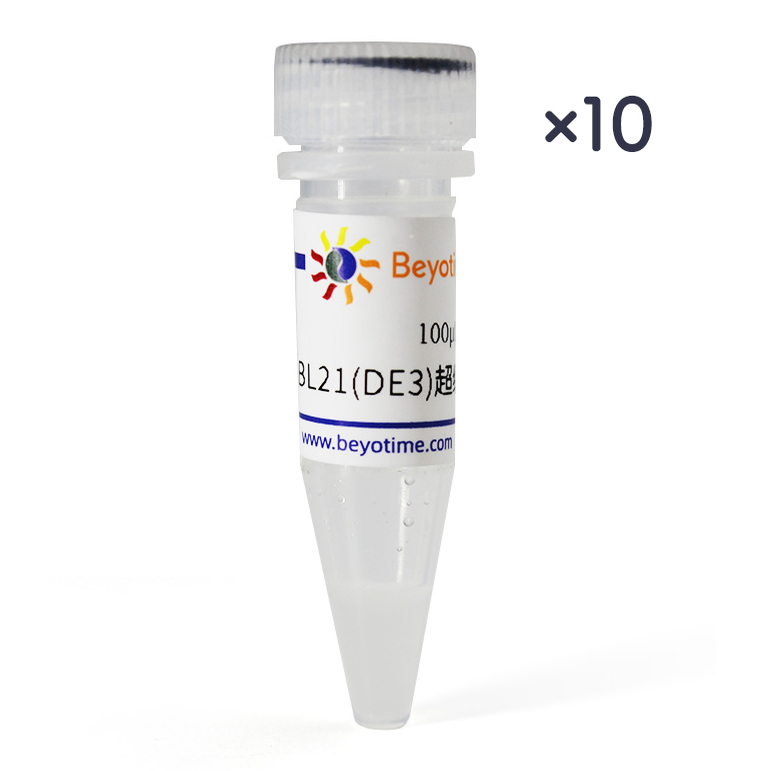BL21(DE3)超级感受态细胞 碧云天 D1013