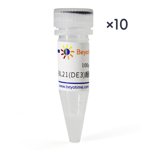 BL21(DE3)超级感受态细胞 碧云天 D1013