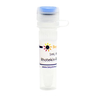 Rhotekin-RBD Agarose (活性Rho结合琼脂糖凝胶)P2061 碧云天