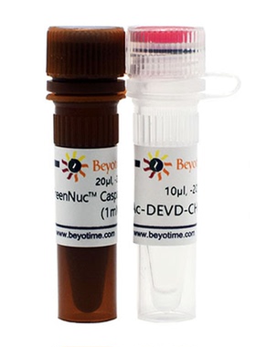 GreenNuc™活细胞Caspase-3活性检测试剂盒 C1168S C1168M 碧云天