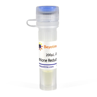 Glutathione Reductase (Yeast, Recombinant) 碧云天P2372