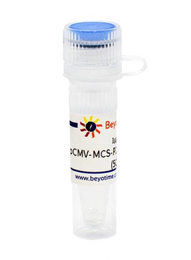 pCMV-MCS-P2A-EGFP-Myc-Neo 碧云天  D2673