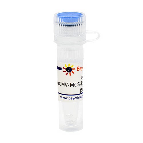 pCMV-MCS-P2A-EGFP-Myc-Neo 碧云天  D2673