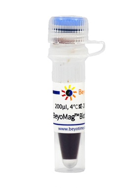 BeyoMag™ Biotin Magnetic Beads (生物素磁珠) P2161 碧云天