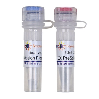 PreScission Protease  碧云天生物 P2303  P2302