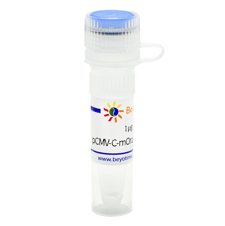 pCMV-C-mOrange2试剂