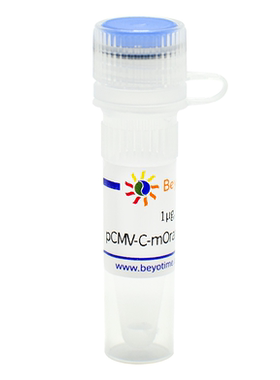 pCMV-C-mOrange2 (橙色荧光蛋白) 碧云天 D2625