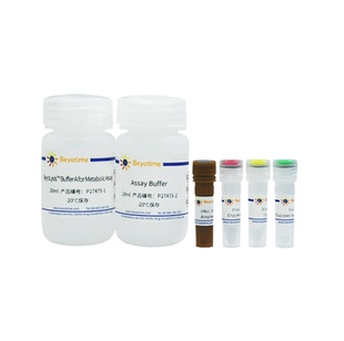 Amplex Red葡萄糖氧化酶活性检测试剂盒  P2747S P2747M 碧云天