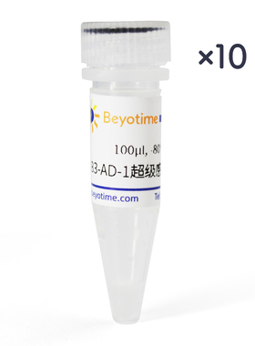 BJ5183-AD-1超级感受态细胞 碧云天 D1007