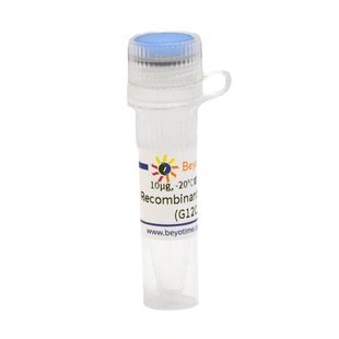 Recombinant Human KRas4B (G12C, His-Tag) 碧云天 P2409