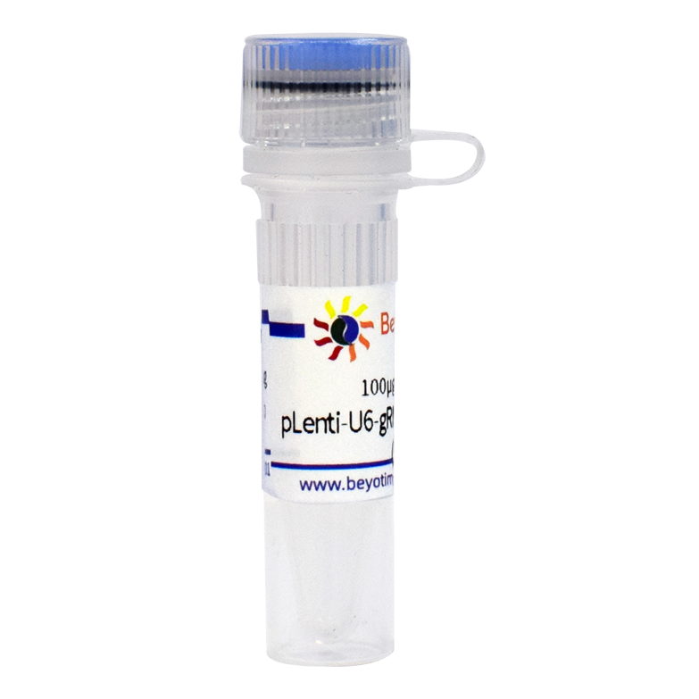 D8301 碧云天 pLenti-U6-gRNA-Cas9-P2A-EGFP-Neo