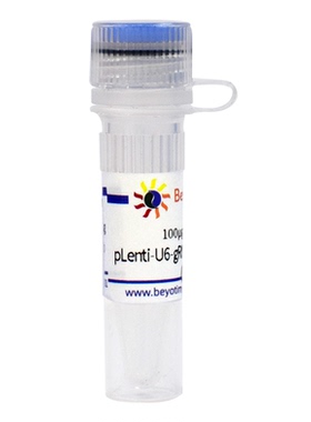 pLenti-U6-gRNA-Cas9-P2A-EGFP-Neo 碧云天 D8301