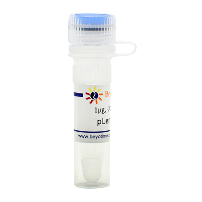 pLenti-H1(慢病毒小RNA表达载体, 绿色荧光)碧云天 D8202